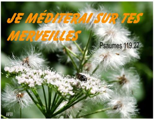 Psaumes 119.27