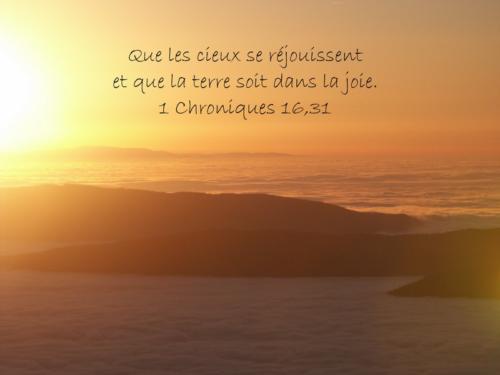 1 Chroniques 16.31