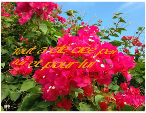Colossiens-1.16