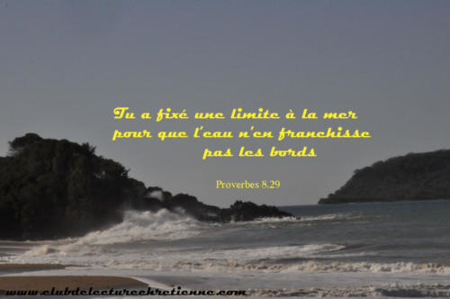 Proverbes-8.29