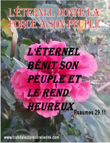 Psaumes 29.11
