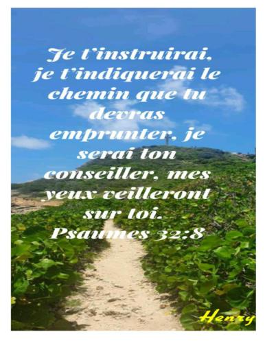 Psaumes 32.8