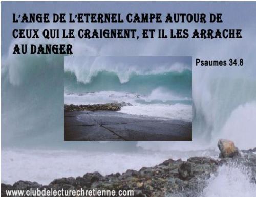 Psaumes 34.8
