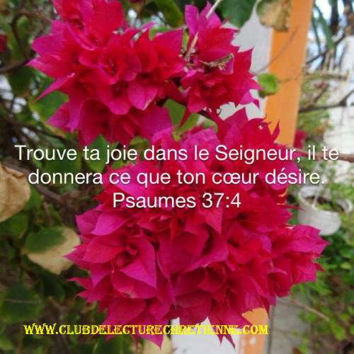Psaumes 37.4