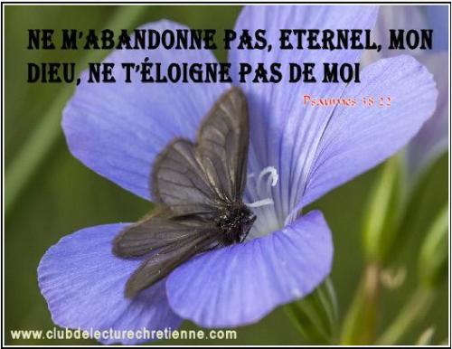 Psaumes 38.22