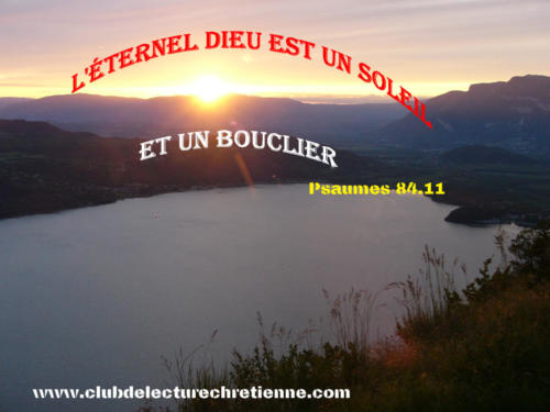 Psaumes 84.11