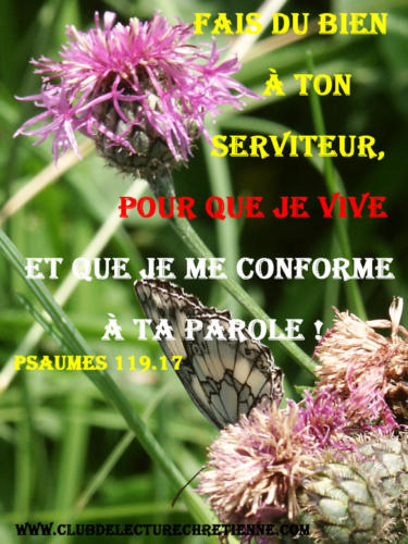 Psaumes 119.17